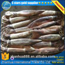 frozen illex squid jig 150-200g Whole round China calamary high quality price